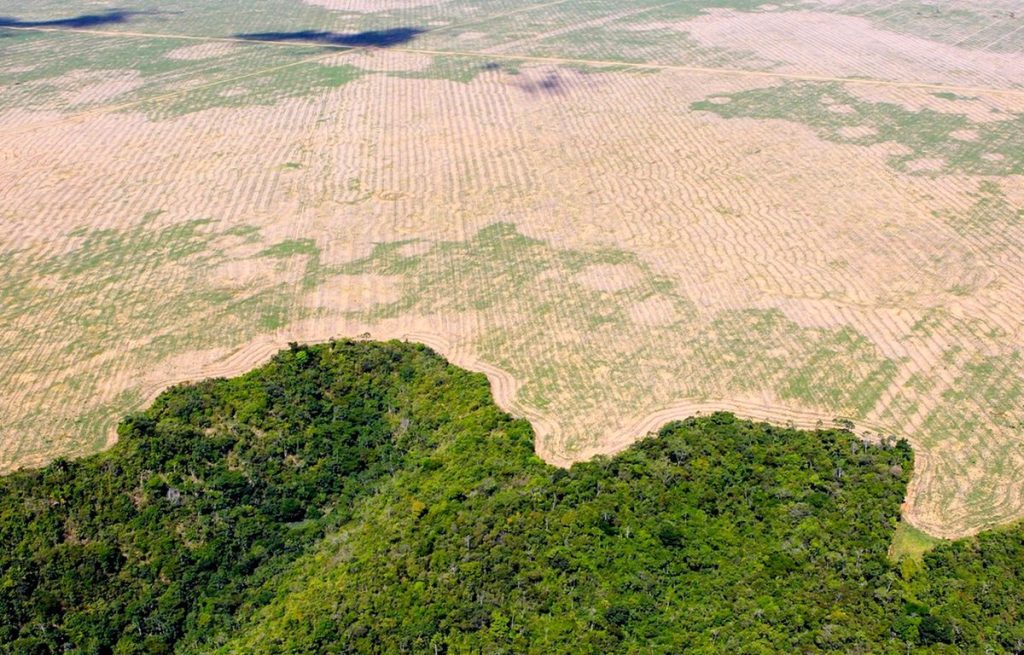 Record deforestation in the Amazon in October